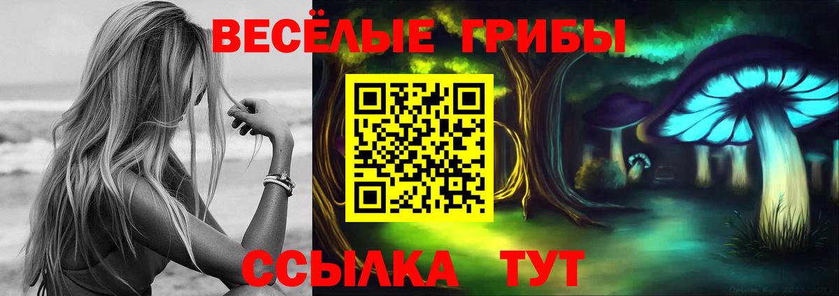 Псилоцибиновые грибы мухоморы  Вход с VPN  Новодвинск 